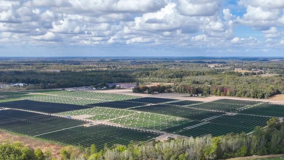 Rows of utility-scale solar panels at DTE's Cold Creek solar park in Michigan