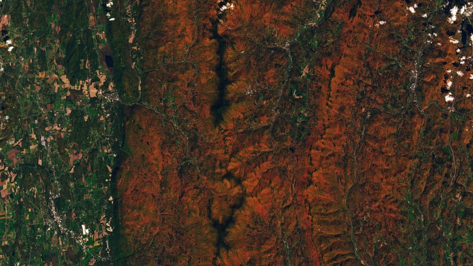 Autumn forest foliage showing red and orange leaves with satellite measurement visualization