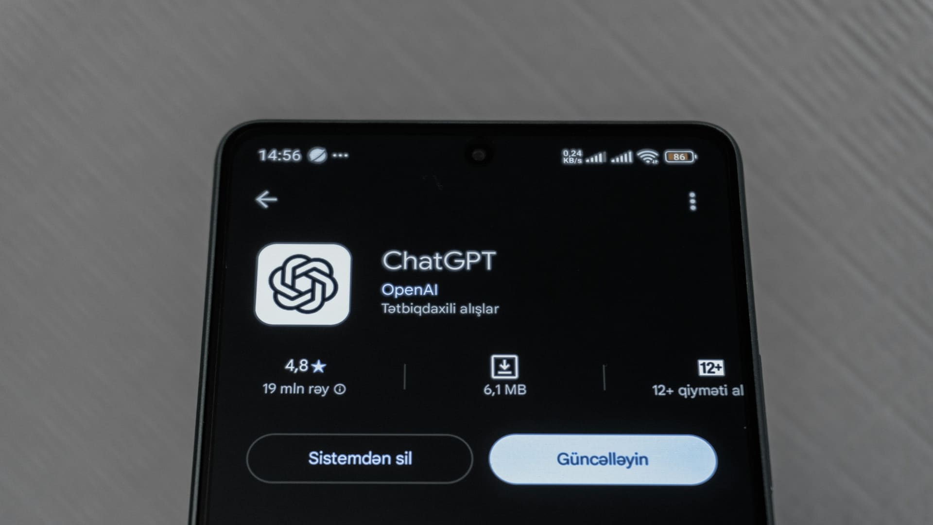 Smartphone screen displaying ChatGPT app interface and details