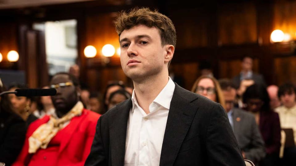 New York City Council hearing on artificial intelligence safety